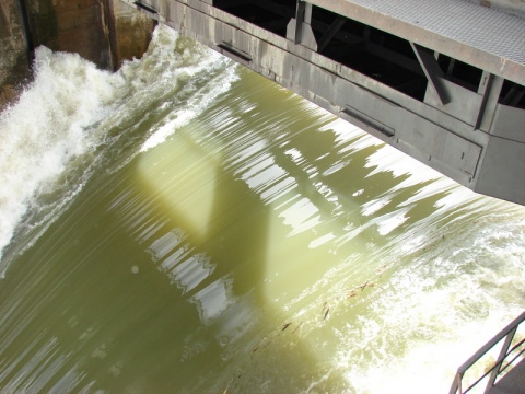 Водохранилище Новосибирской ГЭС сдерживает волну алтайского паводка